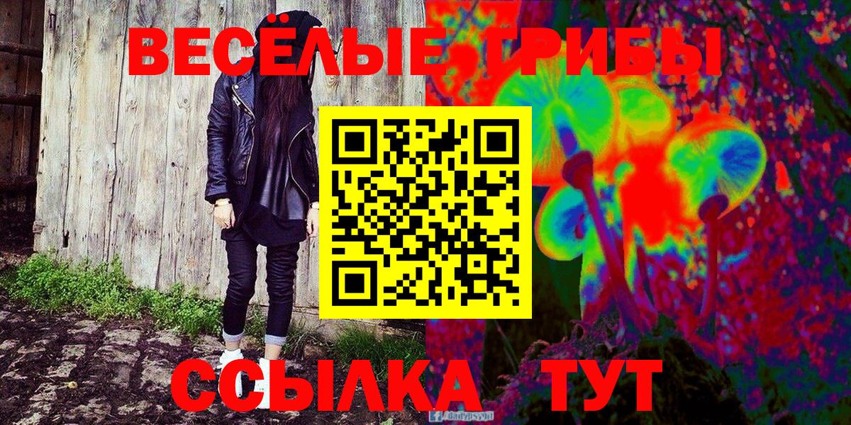 Галлюциногенные грибы Psilocybine cubensis  Вход с VPN  Нижний Новгород 